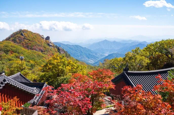 dimsum reizen cultuur en natuur in jeollado zuidkorea priv rondreis 2