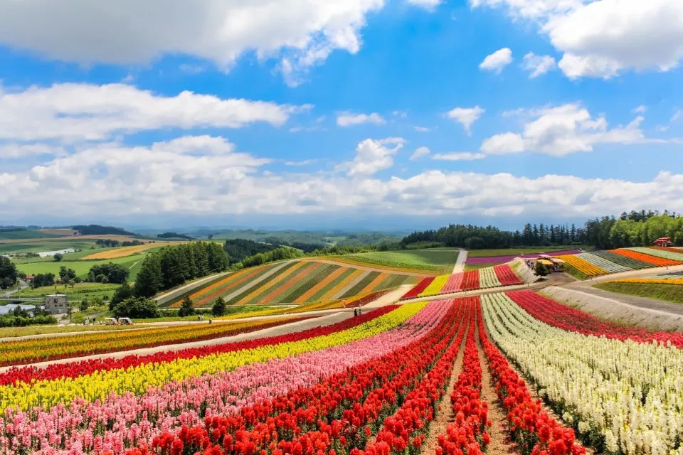 Sfeerafbeelding biei hokkaido groot