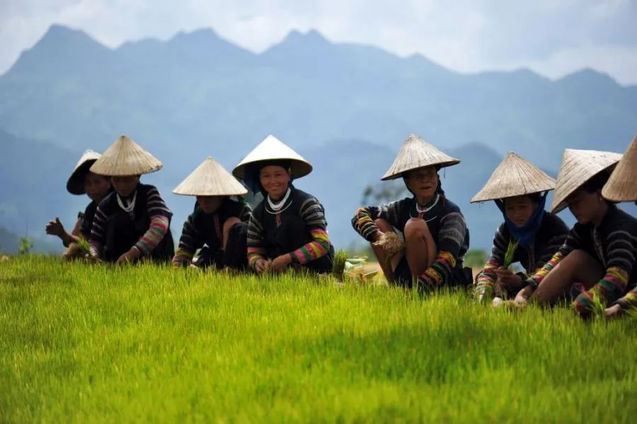 Sfeerafbeelding reis naar de lolos vietnam