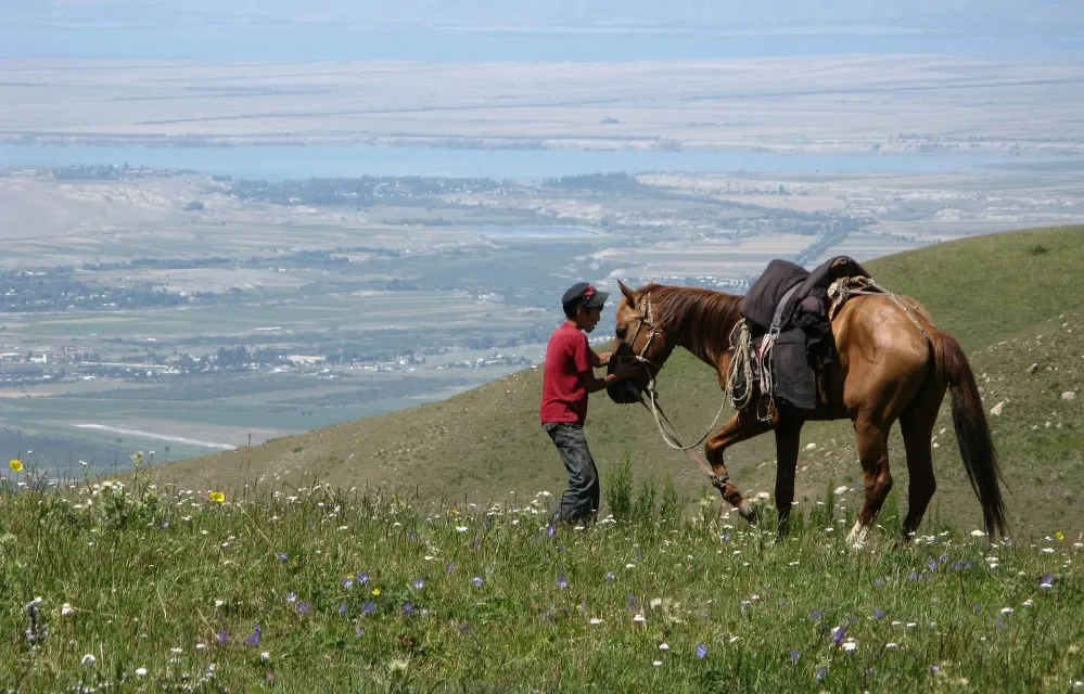 Sfeerafbeelding pixabay karakol1753189 1920