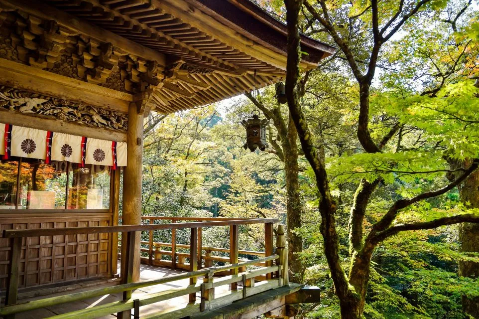 Sfeerafbeelding japan landschap dimsum reizen