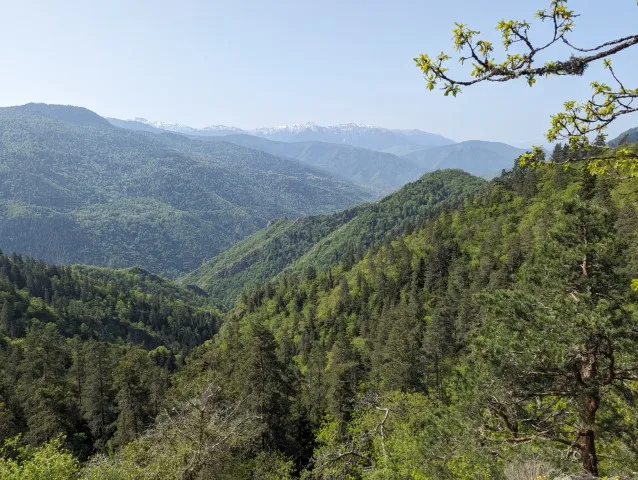 Sfeerafbeelding Hiken%20in%20het%20Borjomi%20Kharagauli%20Nationaal%20Park