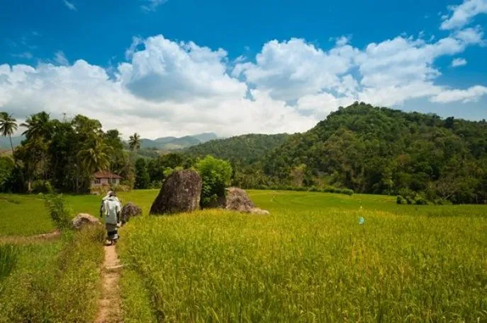 Sfeerafbeelding polwaththa ecologdes trek dimsum reizen