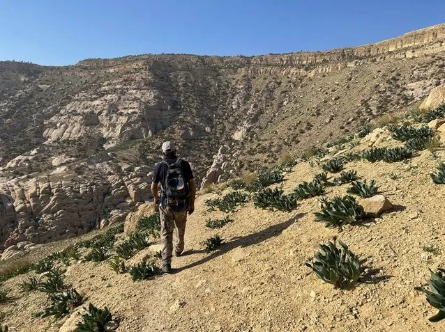 Sfeerafbeelding jordanien dana 2