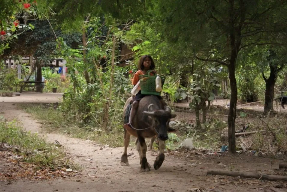 Sfeerafbeelding dimsum reizen noord cambodja lokale ontmoetingen in de mooiste provincie ratanakiri 2