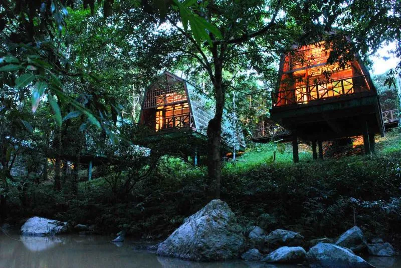 dimsum_reizen_sabah_tabin_wildlife_resort_borneo_maleisie